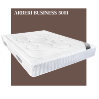 Ensemble Hôtellerie Arberi Business 5001 + Sommier tapissier Arberi
