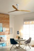 VENTILATEUR DE PLAFOND ALO - FARO