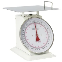 BALANCE MECANIQUE 100KG - WEIGHSTATION