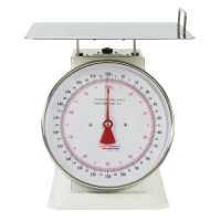 BALANCE MECANIQUE 100KG - WEIGHSTATION