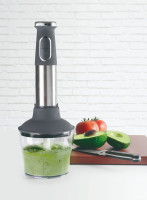 MIXER A SOUPE INOX AVEC GOBELET