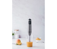 MIXEUR PLONGEANT AVEC GOBELET - TITAN PRO