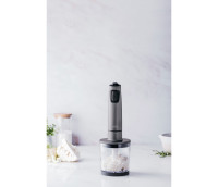 MIXEUR PLONGEANT AVEC GOBELET - TITAN PRO