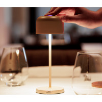 LAMPE DE TABLE LUNE AVEC STATION DE RECHARGE