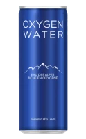CANETTE EAU DES ALPES 250ml