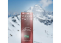 CANETTE EAU DES ALPES 250ml