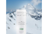 CANETTE EAU DES ALPES 250ml