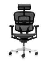 FAUTEUIL ERGOHUMAN ULTRA - RONEO