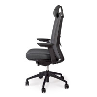 FAUTEUIL RAMSES II - RONEO