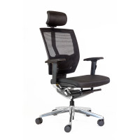 FAUTEUIL CHARLEMAGNE - RONEO