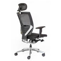 FAUTEUIL CHARLEMAGNE - RONEO