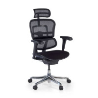 FAUTEUIL ERGOHUMAN ULTRA - RONEO
