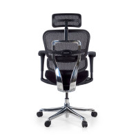 FAUTEUIL ERGOHUMAN ULTRA - RONEO