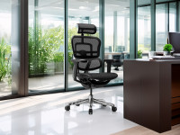 FAUTEUIL ERGOHUMAN ULTRA - RONEO