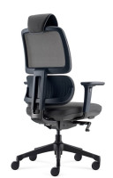 FAUTEUIL ORCA AVEC TÊTIÈRE - RONEO