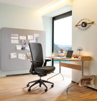 FAUTEUIL RAMSES II - RONEO