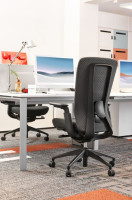 FAUTEUIL RAMSES II - RONEO