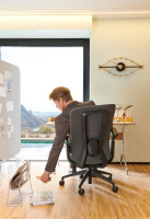 FAUTEUIL RAMSES II - RONEO