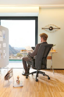 FAUTEUIL RAMSES II - RONEO