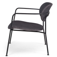 Fauteuil - Pedigree