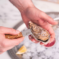 Couteau crapaud en bubinga - Déglon Poisson