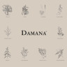 DAMANA Logo