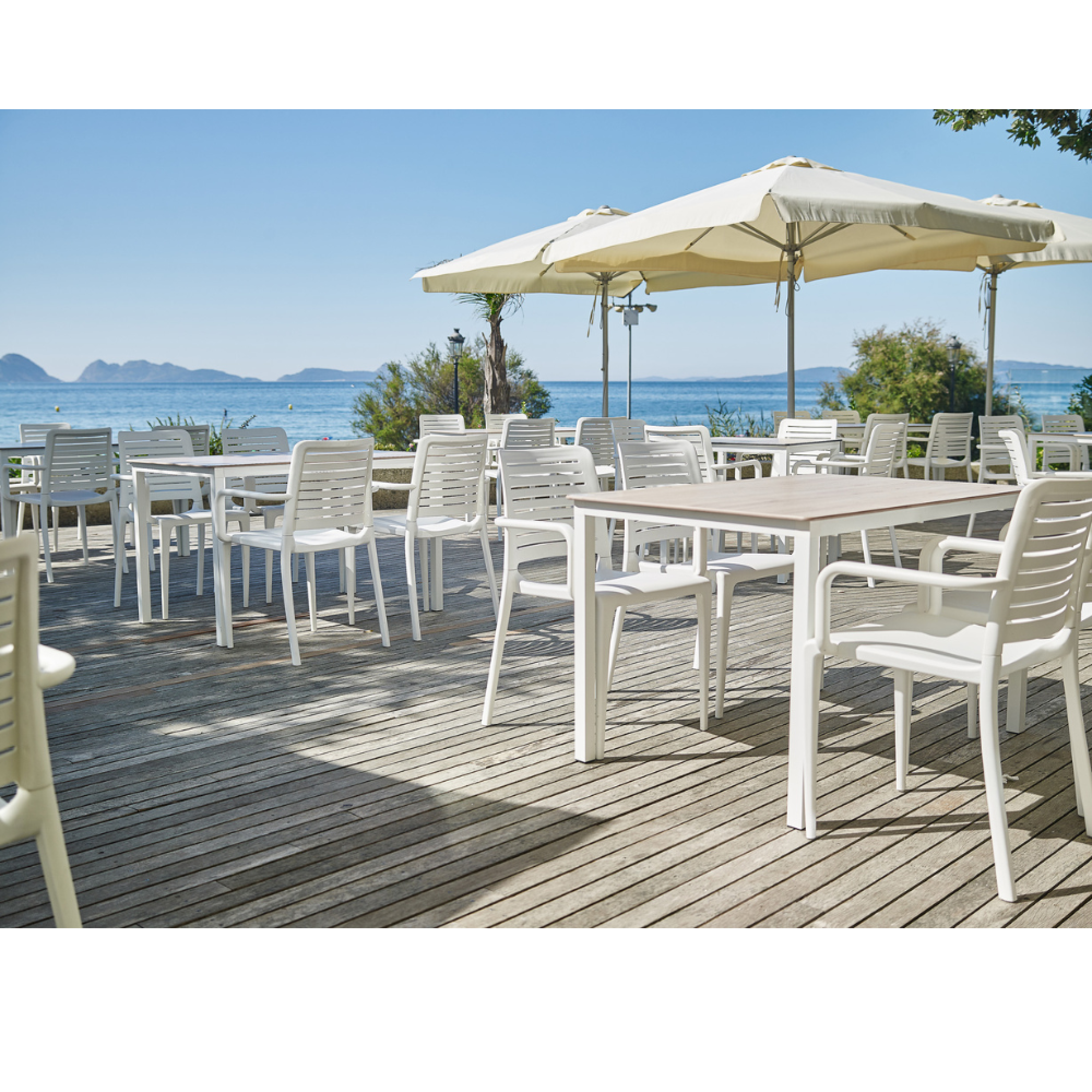 Fauteuil park - EZPELETA professionnel