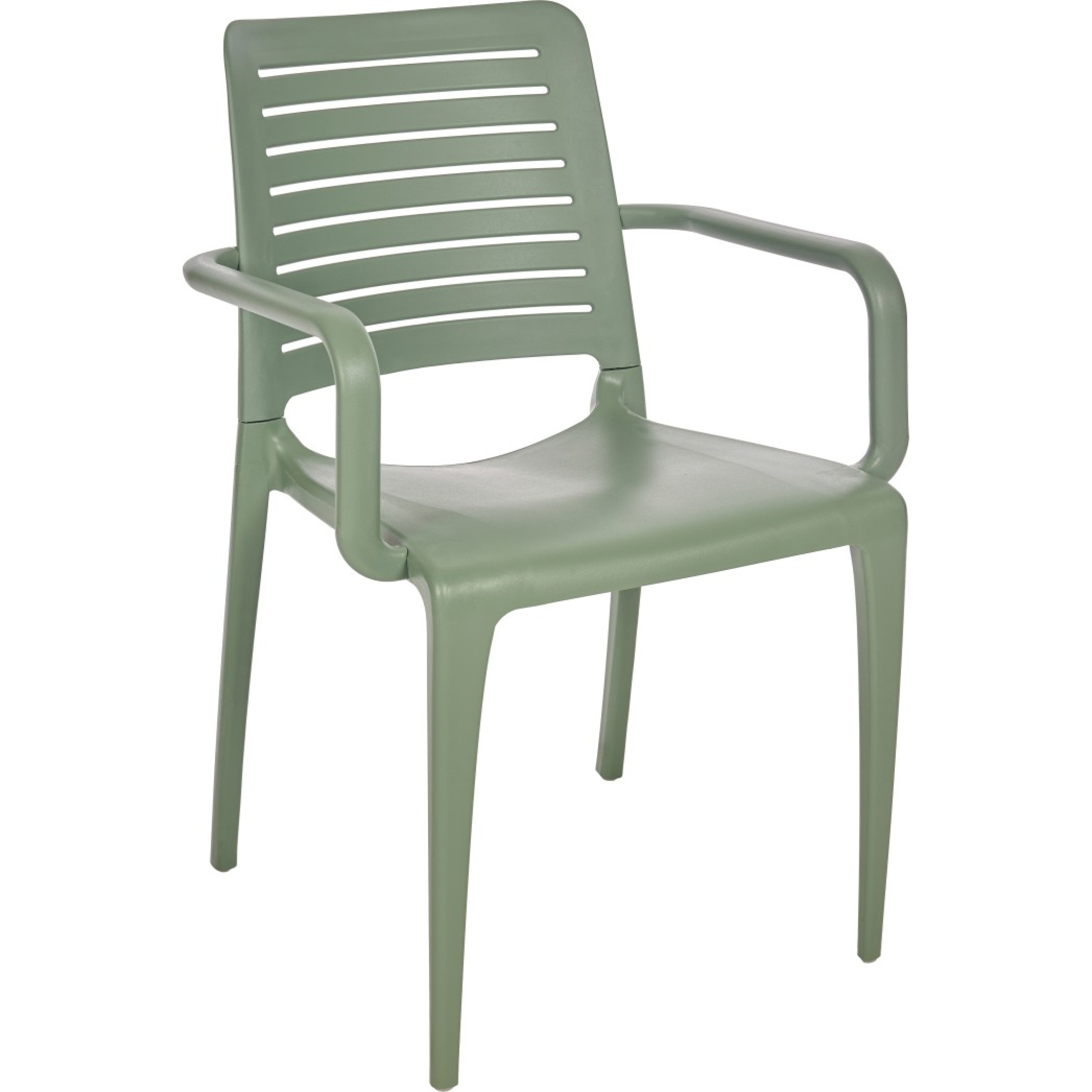 Fauteuil park - EZPELETA professionnel