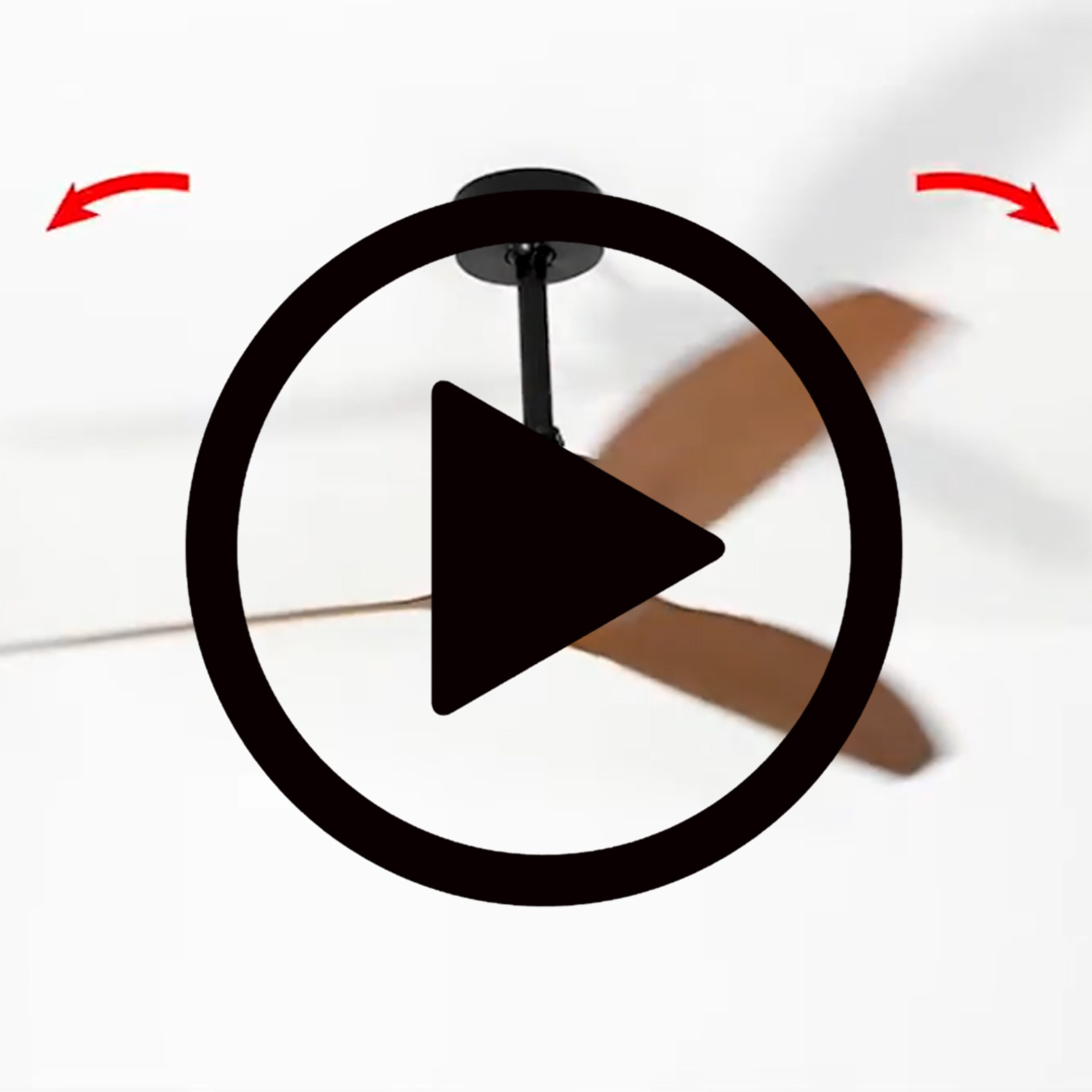  vidéo
