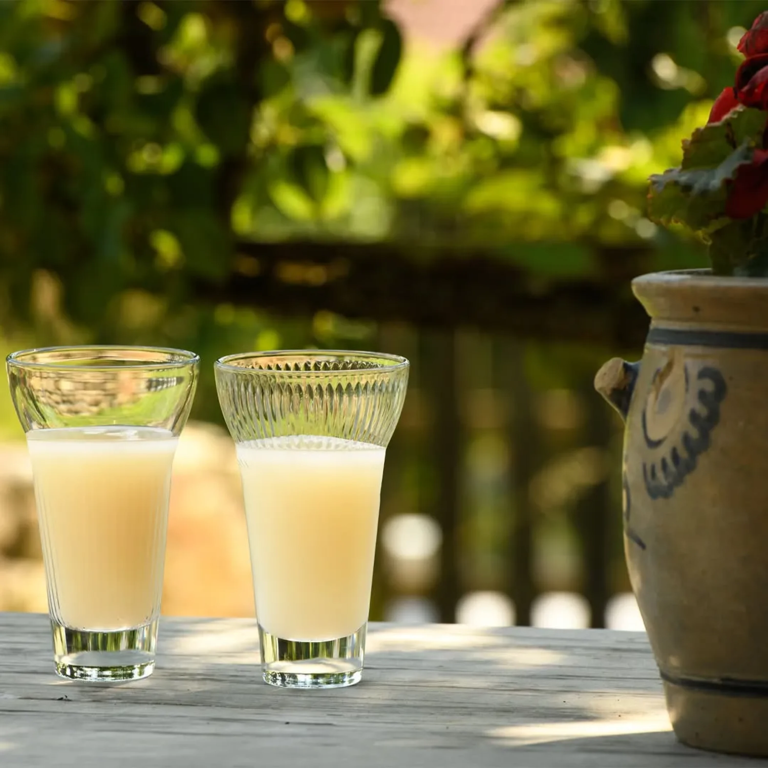 4 verres à pastis CALANQUES - La Rochère