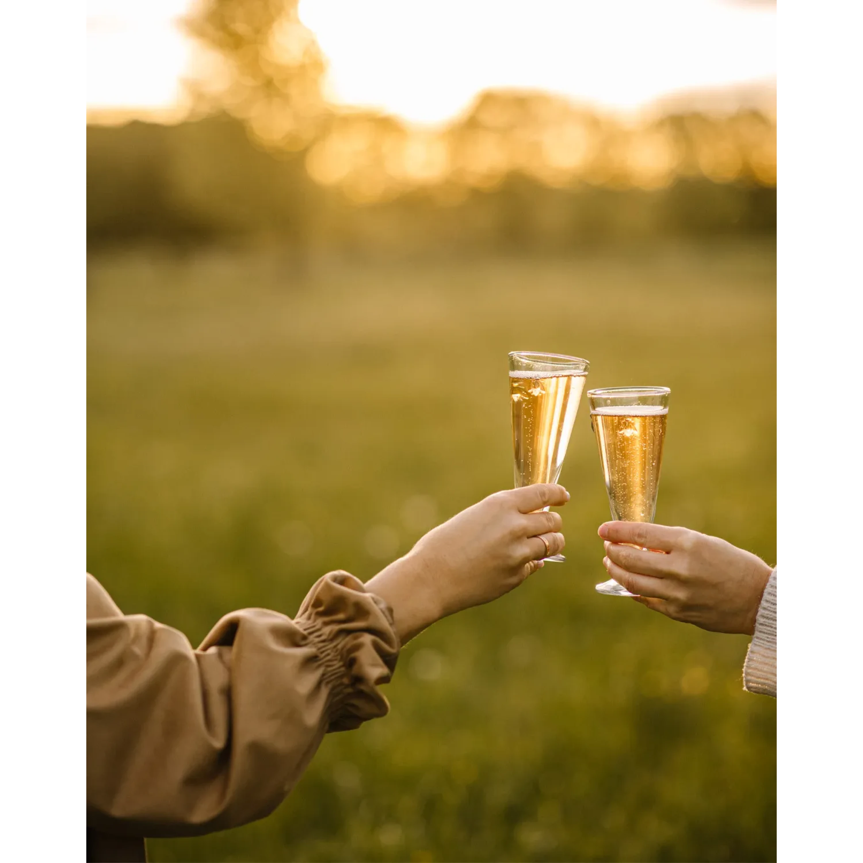 6 flûtes ABEILLE - La Rochère