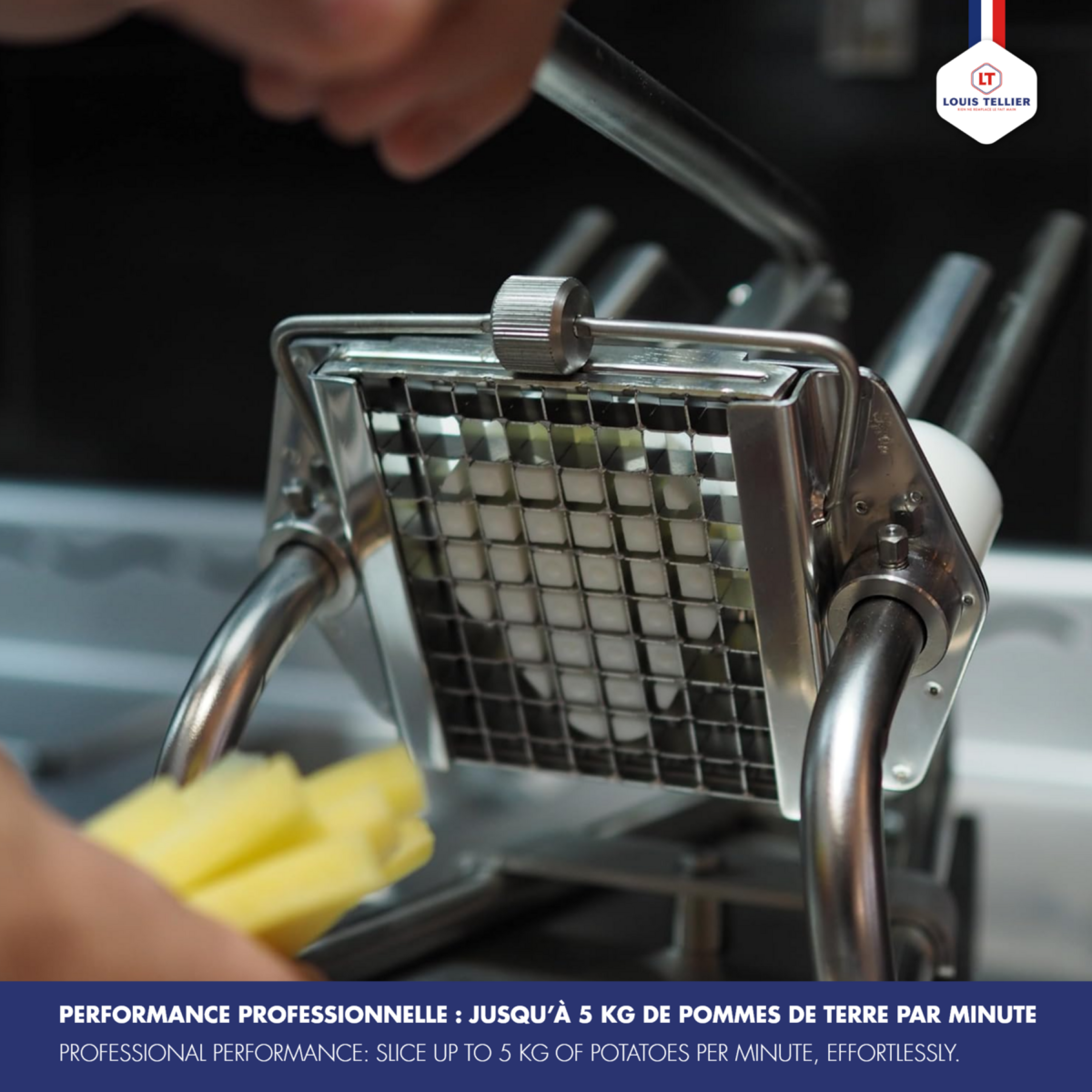 COUPE-FRITES PROFESSIONNEL SUR SOCLE EPOXY - LOUIS TELLIER