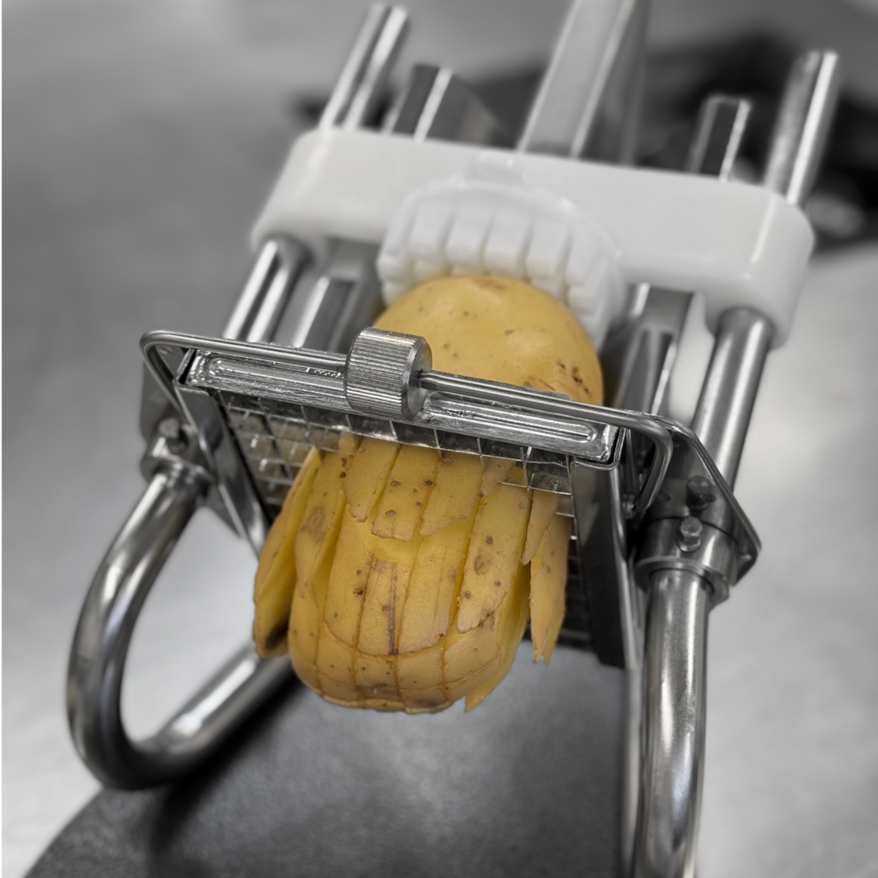 COUPE-FRITES PROFESSIONNEL SUR SOCLE EPOXY - LOUIS TELLIER