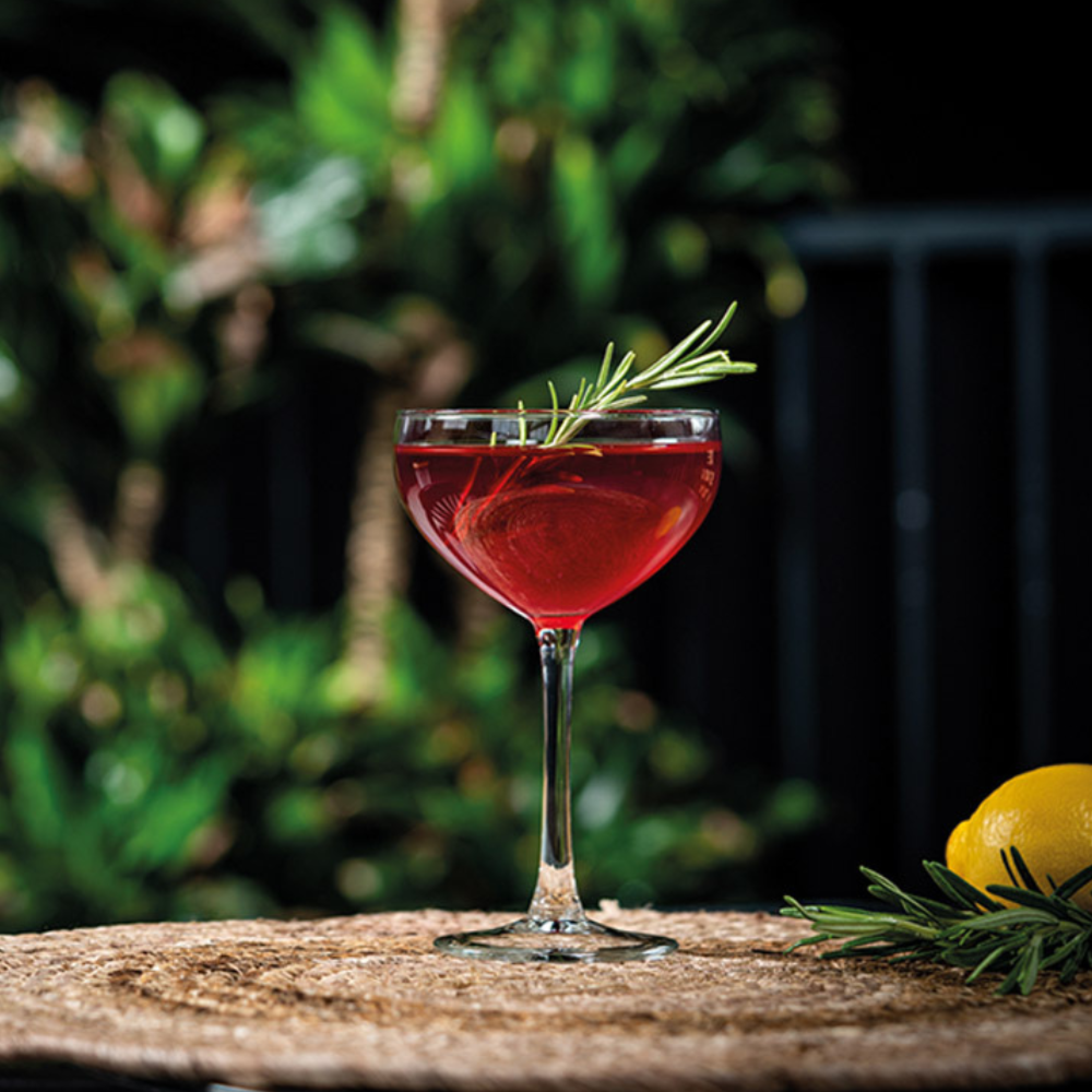 6 coupes à champagne  - Onis