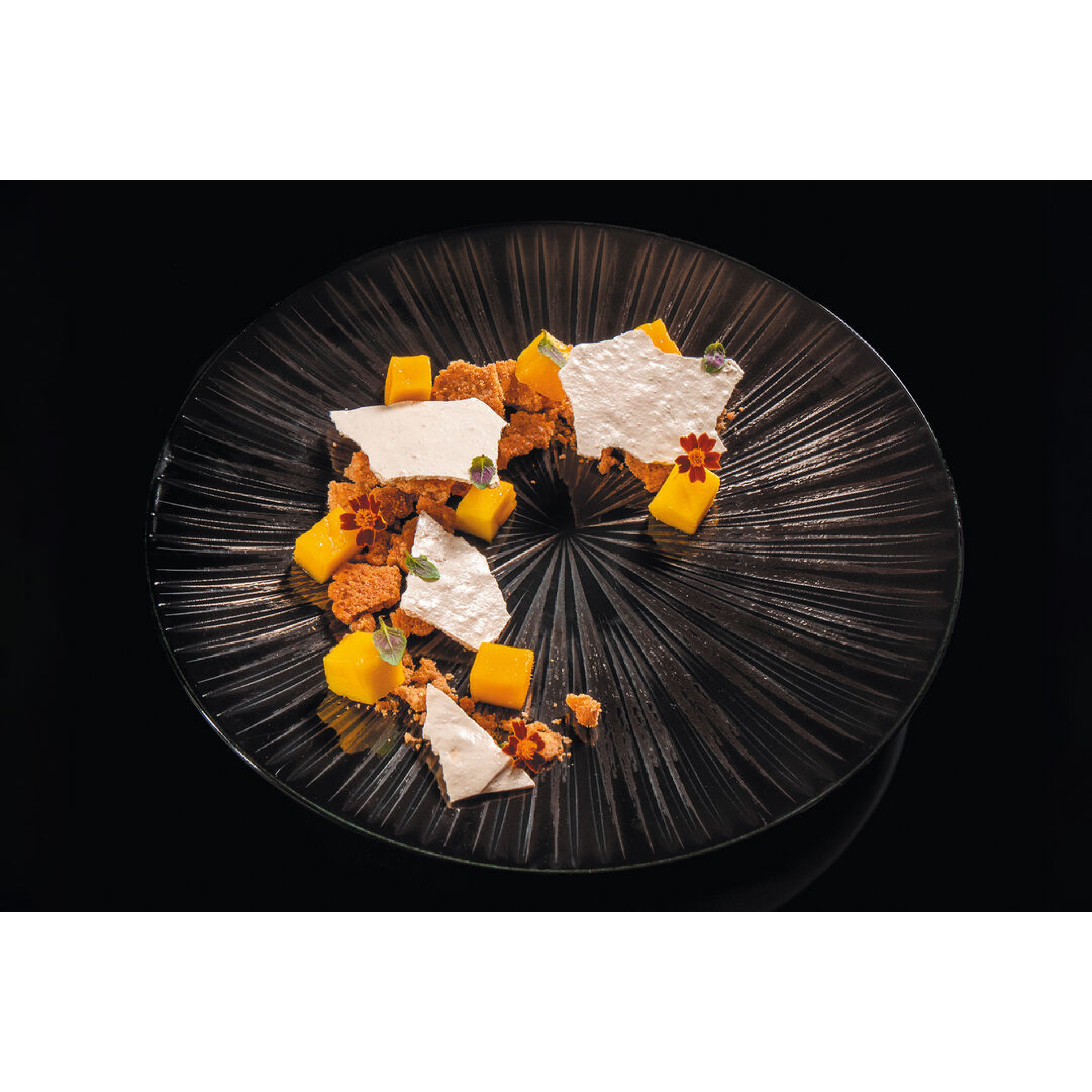 Lot 6 assiettes rondes GRAVITY  - MATFER