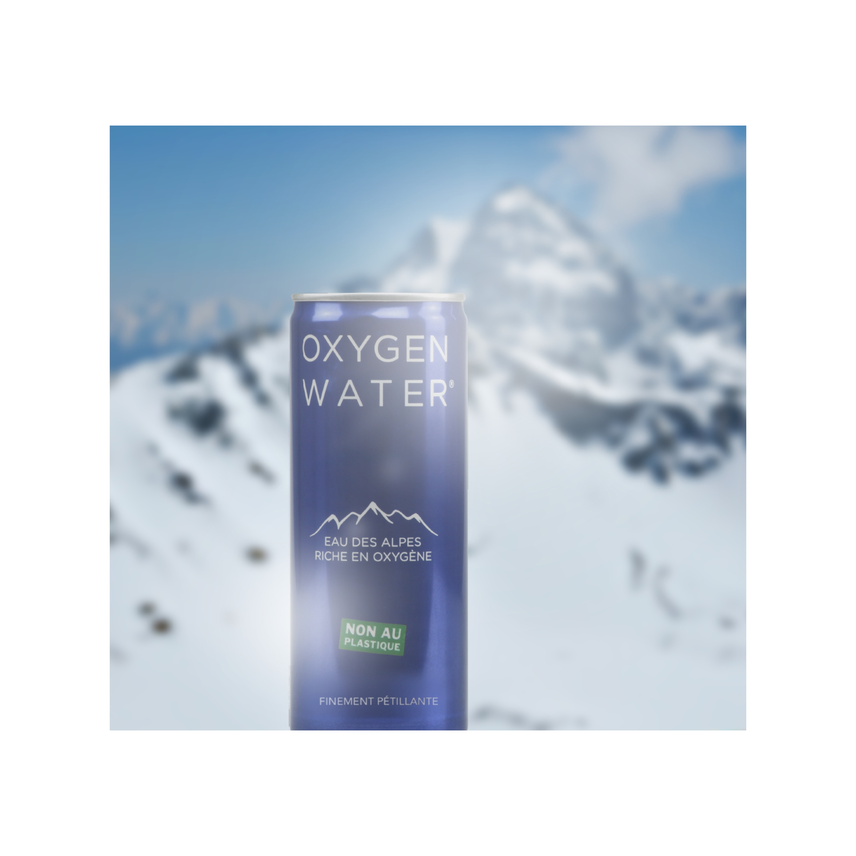 CANETTES EAU DES ALPES 250ml