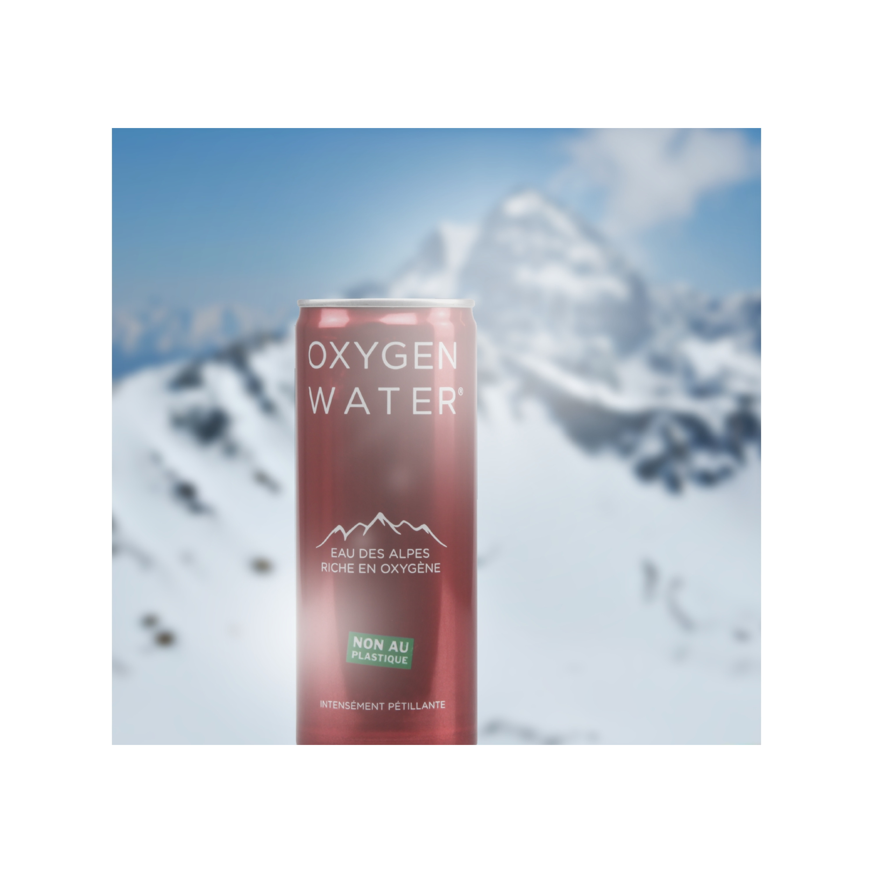 CANETTES EAU DES ALPES 250ml