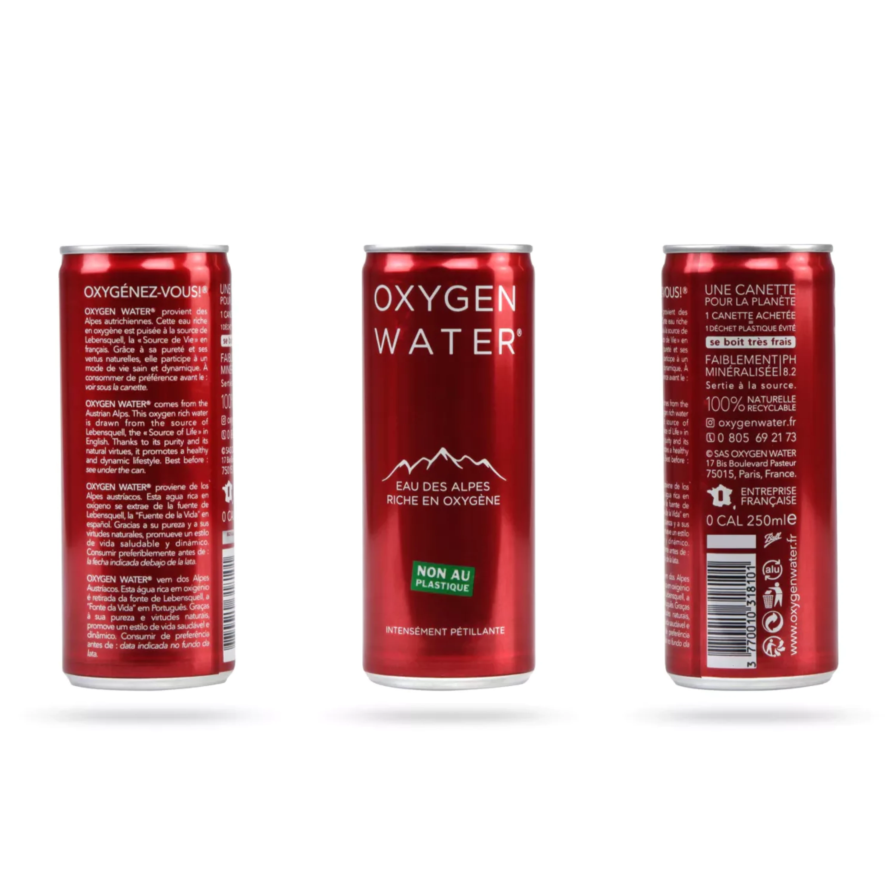 CANETTES EAU DES ALPES 250ml