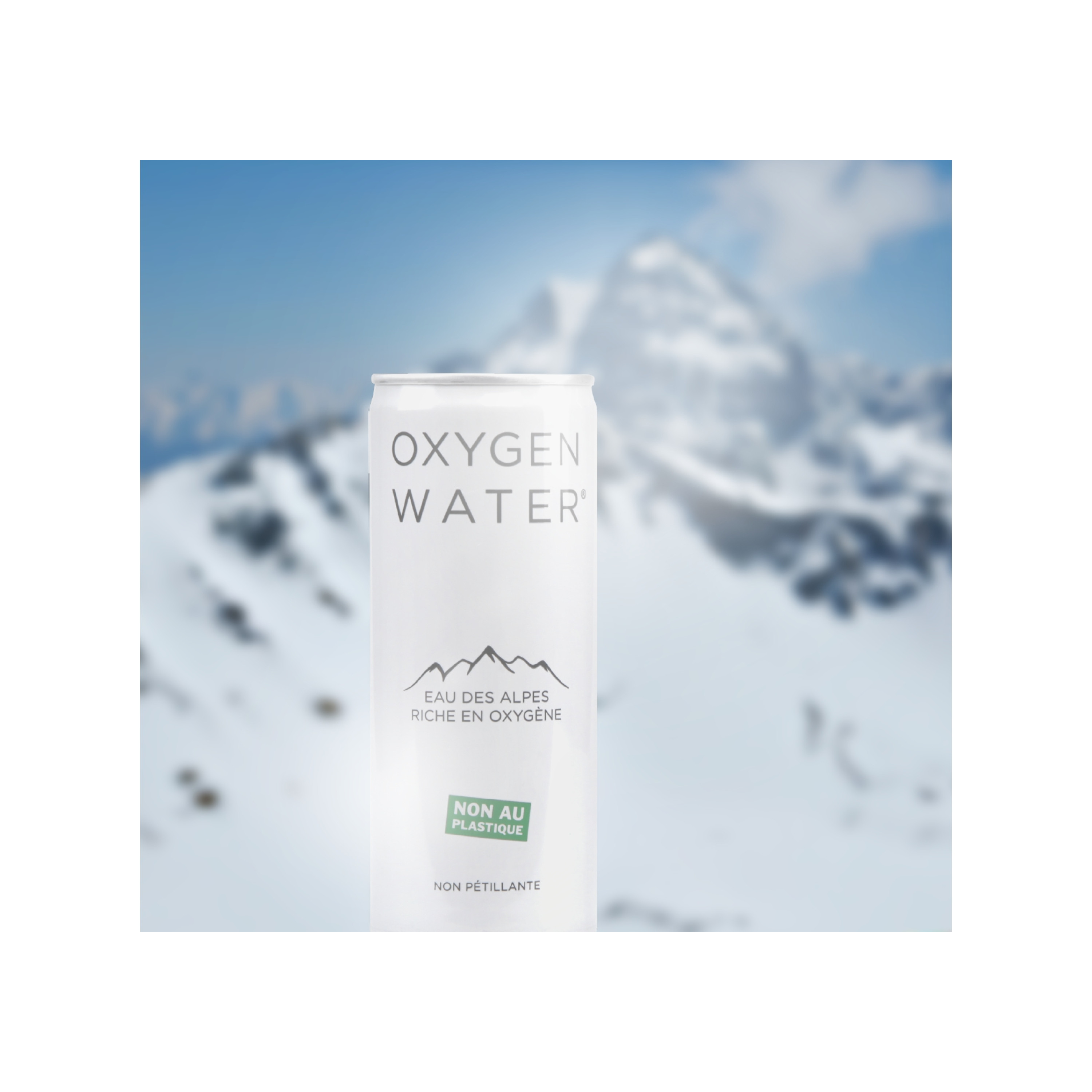 CANETTES EAU DES ALPES 250ml