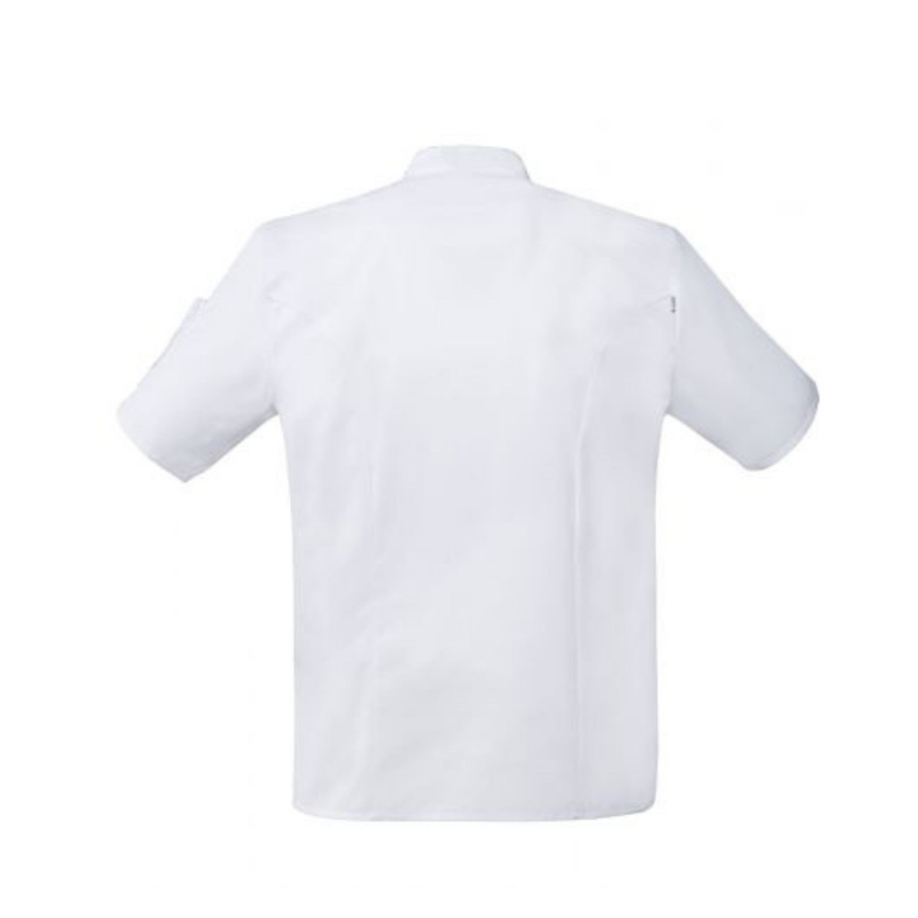 Veste de cuisine manches courtes Nero - Robur