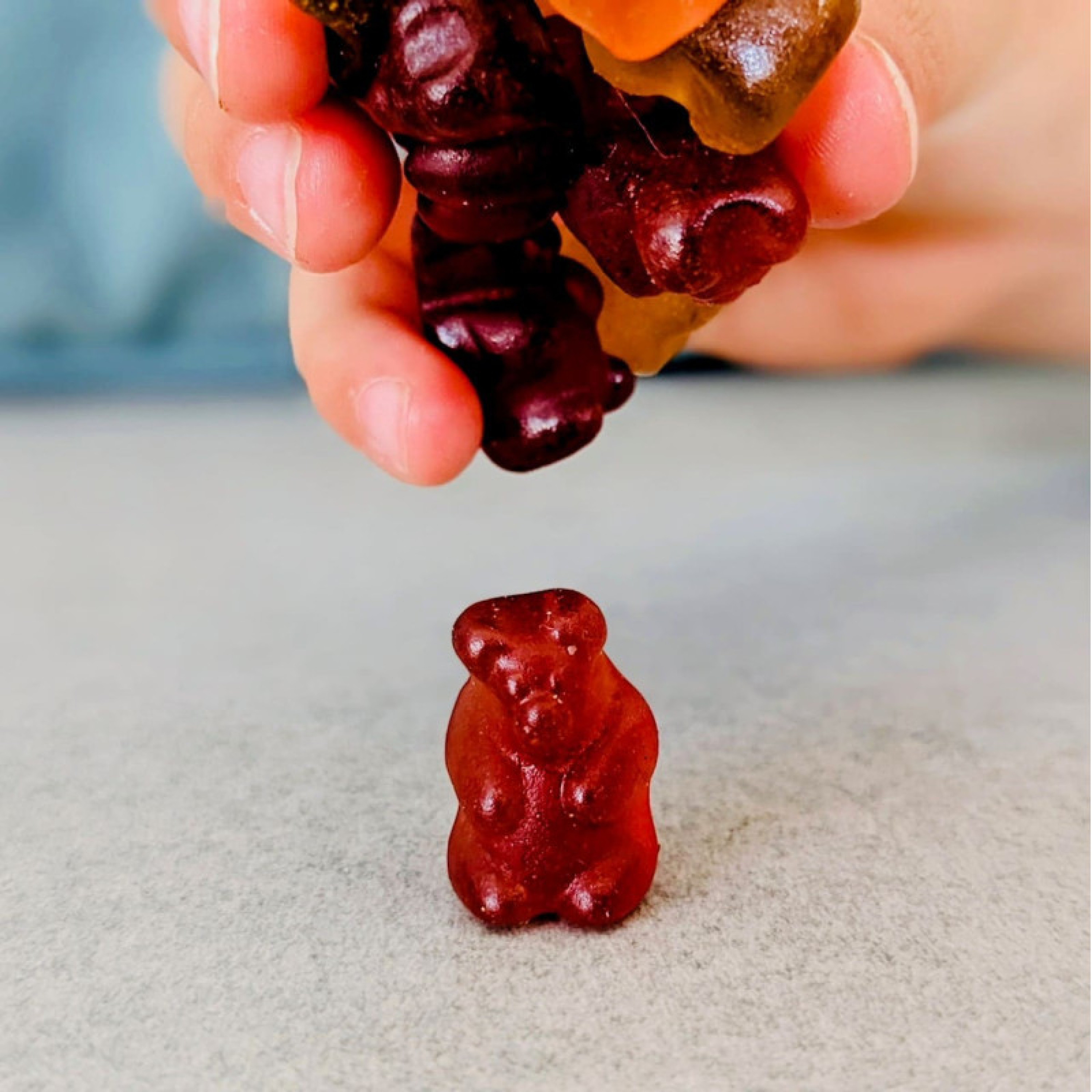 BONBONS OURSONS BIO - SOPHIE M