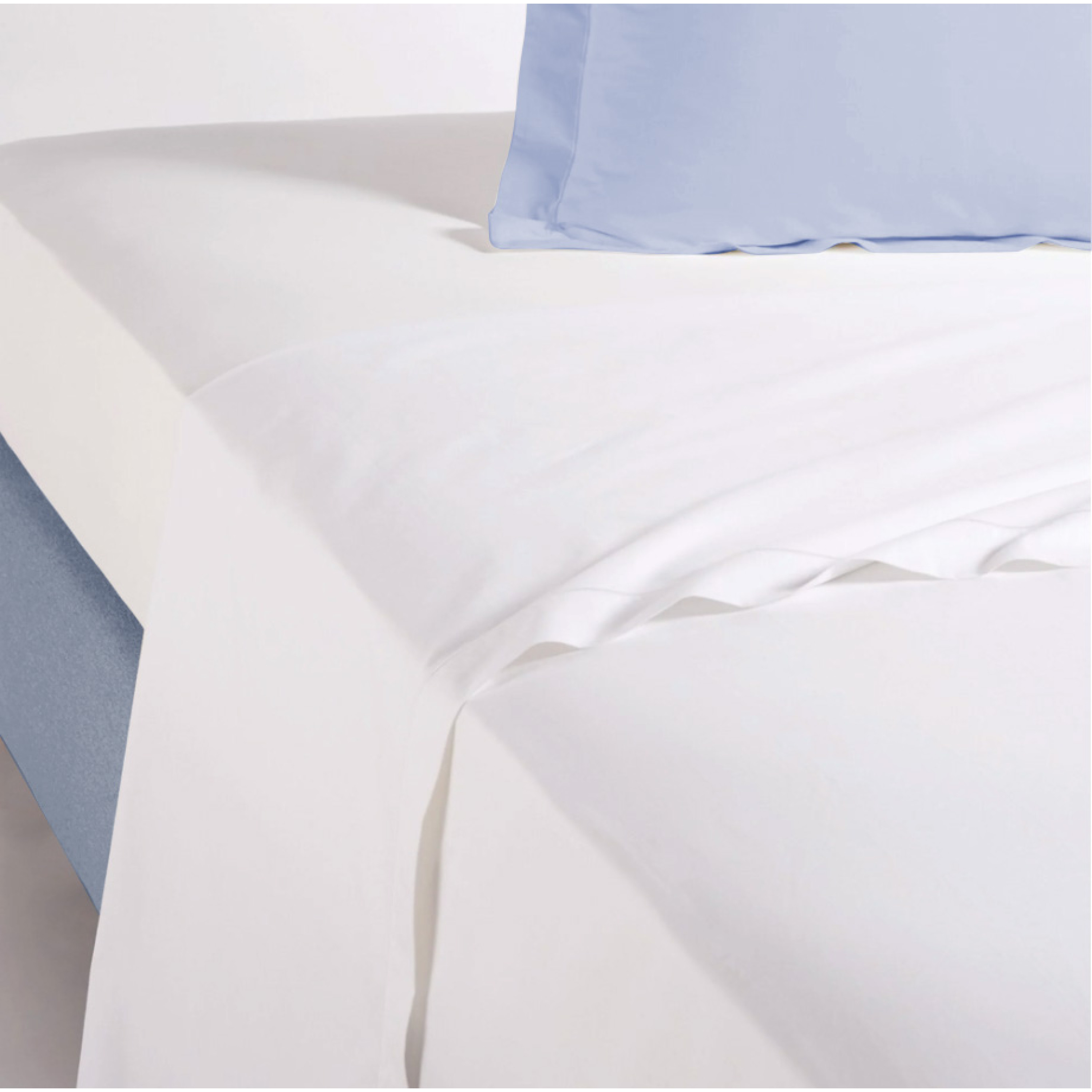 Drap plat bourdon blanc - PALACE