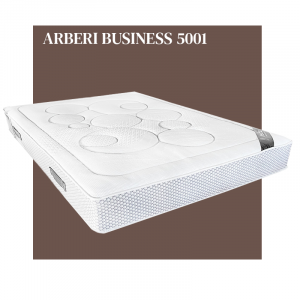 Matelas Hôtellerie Arberi Business 5001