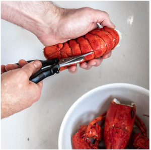 CISEAUX À CRUSTACÉS INOX - DE BUYER