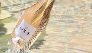 COFFRET SAVEURS & PLAISIRS - DOMAINE DE LEOS