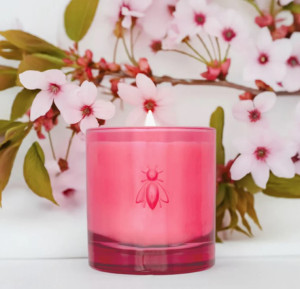 BOUGIES COLLECTION ABEILLE - LA ROCHERE