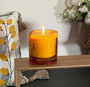 BOUGIES COLLECTION ABEILLE - LA ROCHERE