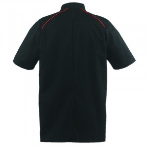 Veste de cuisine manches courtes mixtes  Appollo - ROBUR