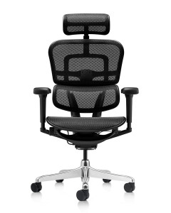 FAUTEUIL ERGOHUMAN ULTRA - RONEO