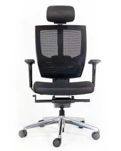 FAUTEUIL CHARLEMAGNE - RONEO